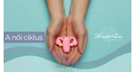 A női ciklus hatása a mindennapjainkra – Így csökkentsd a PMS tüneteit!
